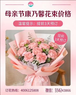 济宁鱼台县花店母亲节康乃馨花束
