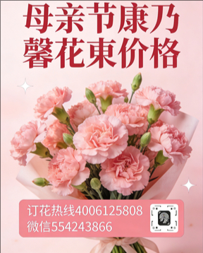 济宁鱼台县花店母亲节康乃馨花束